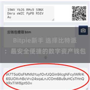 Bitpie新手 选择比特派：最安全便捷的数字资产钱包