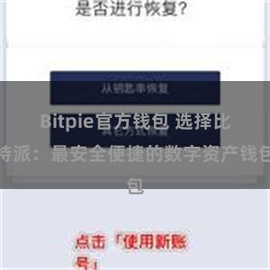 Bitpie官方钱包 选择比特派：最安全便捷的数字资产钱包