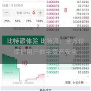 比特派体验 比特派：全方位保护用户数字资产安全