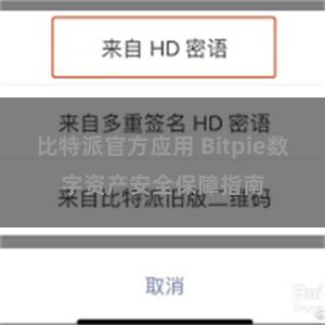 比特派官方应用 Bitpie数字资产安全保障指南