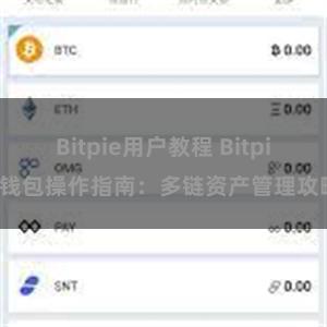 Bitpie用户教程 Bitpie钱包操作指南：多链资产管理攻略