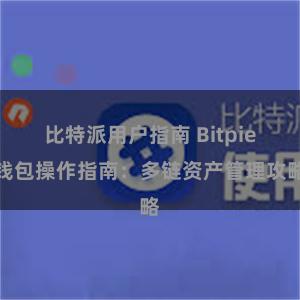 比特派用户指南 Bitpie钱包操作指南：多链资产管理攻略