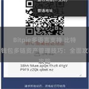 Bitpie多语言支持 比特派钱包多链资产管理技巧：全面攻略