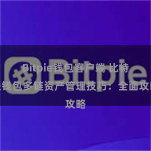 Bitpie钱包客户端 比特派钱包多链资产管理技巧：全面攻略