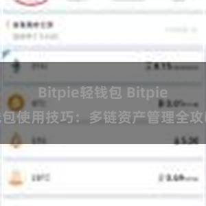 Bitpie轻钱包 Bitpie钱包使用技巧：多链资产管理全攻略