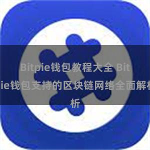 Bitpie钱包教程大全 Bitpie钱包支持的区块链网络全面解析