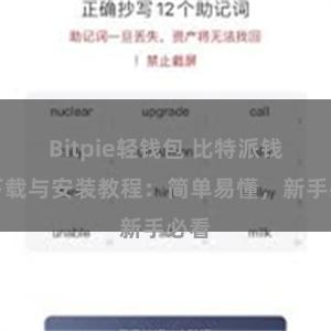 Bitpie轻钱包 比特派钱包下载与安装教程：简单易懂，新手必看