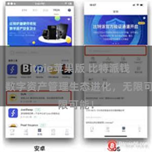 Bitpie苹果版 比特派钱包：数字资产管理生态进化，无限可能！