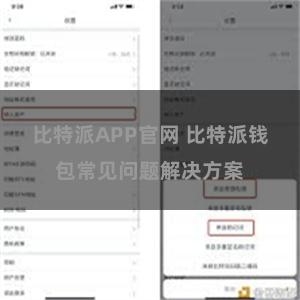 比特派APP官网 比特派钱包常见问题解决方案