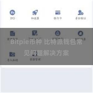 Bitpie币种 比特派钱包常见问题解决方案