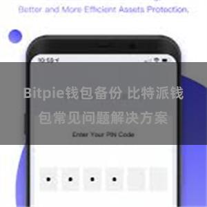 Bitpie钱包备份 比特派钱包常见问题解决方案