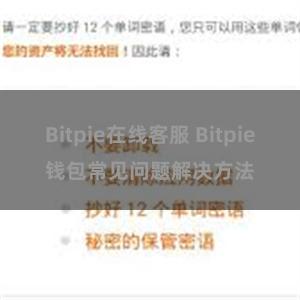 Bitpie在线客服 Bitpie钱包常见问题解决方法