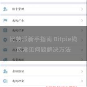 比特派新手指南 Bitpie钱包常见问题解决方法