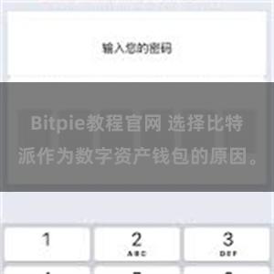 Bitpie教程官网 选择比特派作为数字资产钱包的原因。