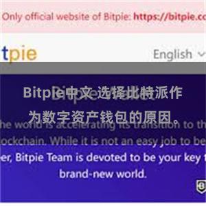 Bitpie中文 选择比特派作为数字资产钱包的原因。