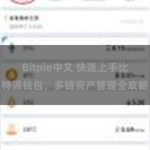 Bitpie中文 快速上手比特派钱包，多链资产管理全攻略