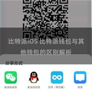 比特派iOS 比特派钱包与其他钱包的区别解析