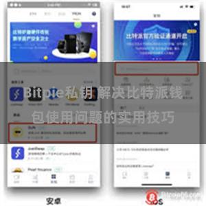 Bitpie私钥 解决比特派钱包使用问题的实用技巧