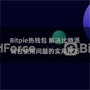 Bitpie热钱包 解决比特派钱包使用问题的实用技巧