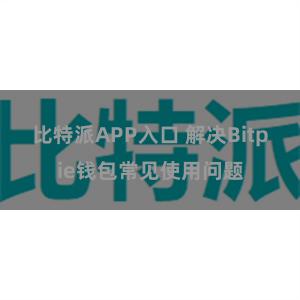 比特派APP入口 解决Bitpie钱包常见使用问题