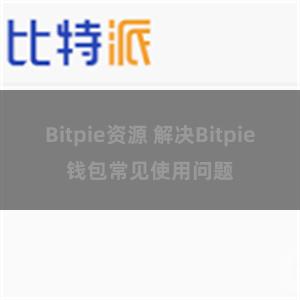 Bitpie资源 解决Bitpie钱包常见使用问题