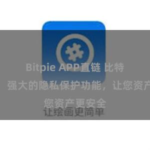 Bitpie APP直链 比特派钱包：强大的隐私保护功能，让您资产更安全