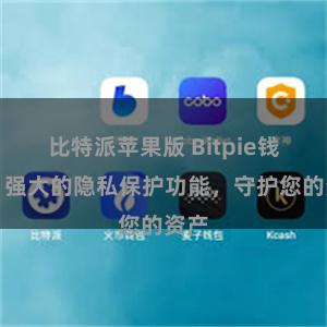 比特派苹果版 Bitpie钱包：强大的隐私保护功能，守护您的资产