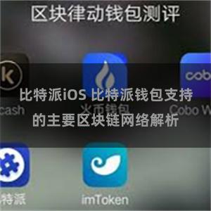 比特派iOS 比特派钱包支持的主要区块链网络解析