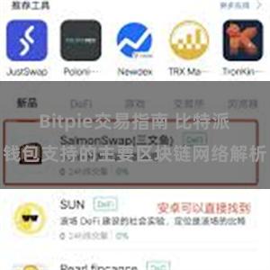 Bitpie交易指南 比特派钱包支持的主要区块链网络解析