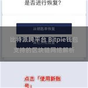 比特派跨平台 Bitpie钱包支持的区块链网络解析