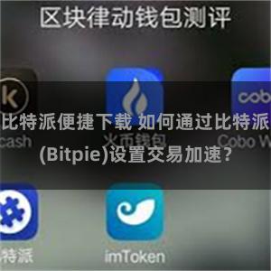 比特派便捷下载 如何通过比特派(Bitpie)设置交易加速？