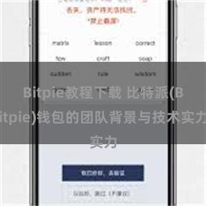 Bitpie教程下载 比特派(Bitpie)钱包的团队背景与技术实力