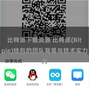 比特派下载资源 比特派(Bitpie)钱包的团队背景与技术实力