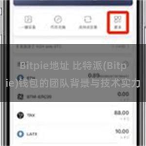 Bitpie地址 比特派(Bitpie)钱包的团队背景与技术实力