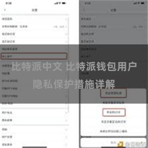 比特派中文 比特派钱包用户隐私保护措施详解