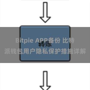 Bitpie APP备份 比特派钱包用户隐私保护措施详解