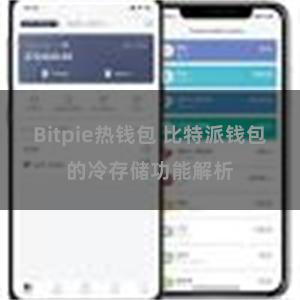 Bitpie热钱包 比特派钱包的冷存储功能解析