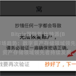 Bitpie国际版 比特派(Bitpie)钱包市场趋势：数字资产存储领域领先者持续发展。