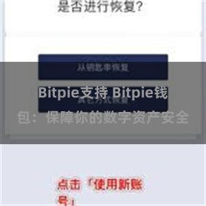 Bitpie支持 Bitpie钱包：保障你的数字资产安全