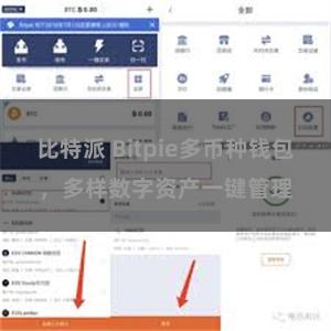 比特派 Bitpie多币种钱包，多样数字资产一键管理