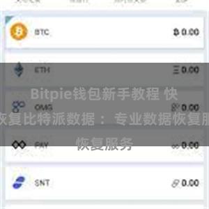 Bitpie钱包新手教程 快速恢复比特派数据 ：专业数据恢复服务