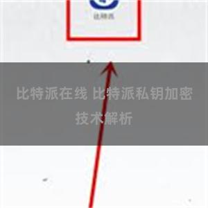 比特派在线 比特派私钥加密技术解析